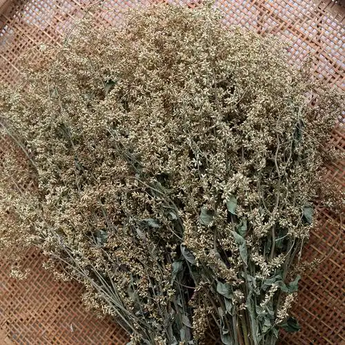 野生高山六月霜茶250g防中暑解暑花草农家纯天然清凉茶夏天饮用水