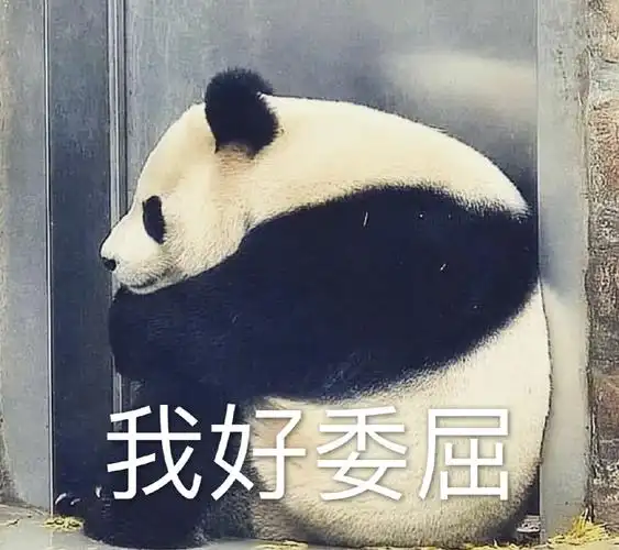 萌宠 熊猫 我好委屈 难受 呆萌 可爱