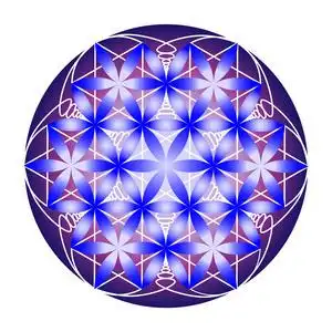 白色背景下蓝色和紫色的生命之花照片