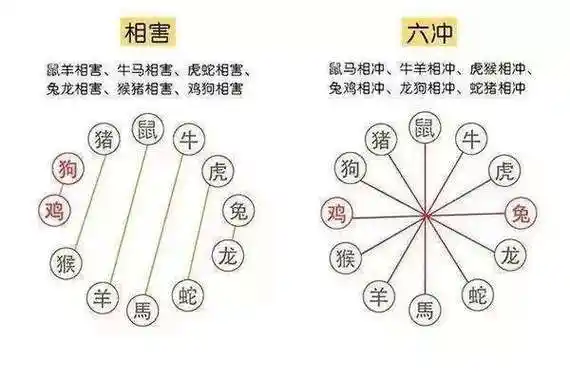 十二生肖的相害相合表 十二生肖相害是什么意思