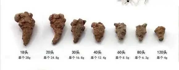 什么样的三七是好三七,怎么可以买到好三七? - 哪里能买到