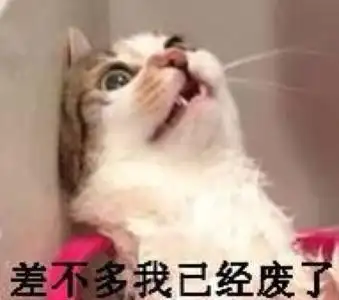 差不多我已经废了_差不多_已经表情