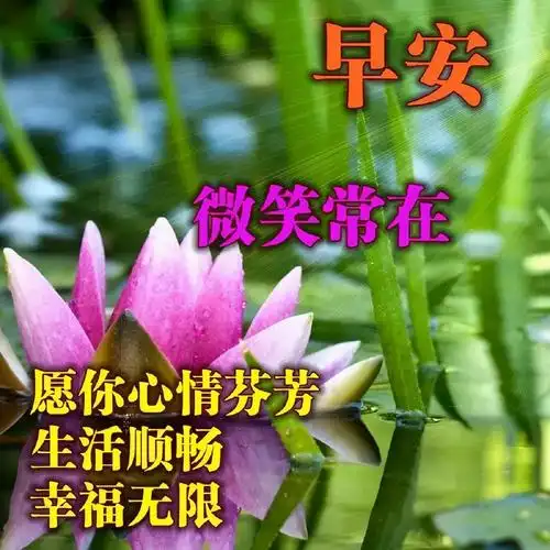 新版漂亮的早上好图片大全朋友圈新版早晨好祝福语阳光句子