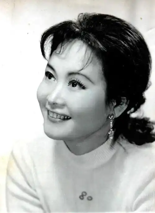 70年代歌手有哪些_简介70年代歌手