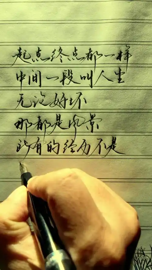 推荐成功励志书籍.#手写 #人生感悟 #智慧人生