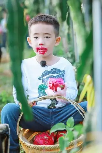 陈小春的暖萌儿子jasper因为爸爸去哪儿第五季走红网络,而昨天