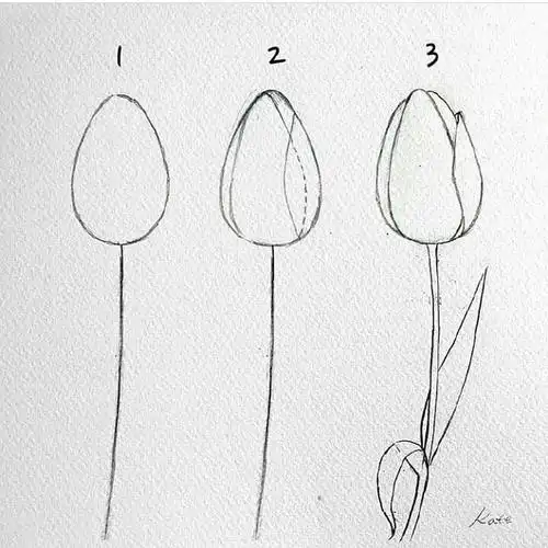 花的简笔画教程