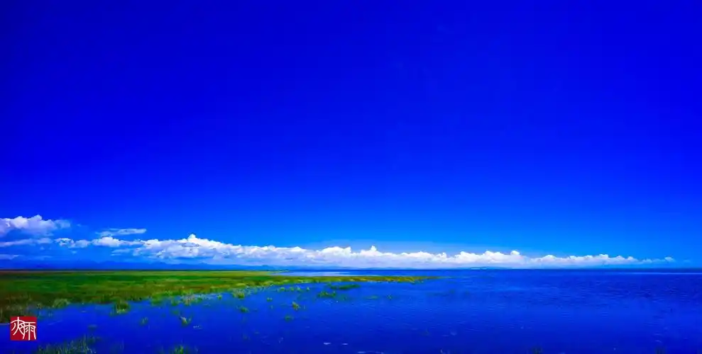 秋水碧连天仙女湾青海湖蓝天白云大草原图片