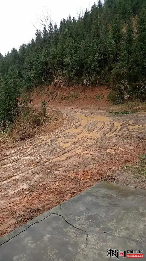 见过烂路,但没见过耒阳这个村这种烂泥巴路