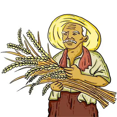 卡通手绘麦穗麦田稻田秋天秋收插画节约粮食芒种绿色大气生态农田有机