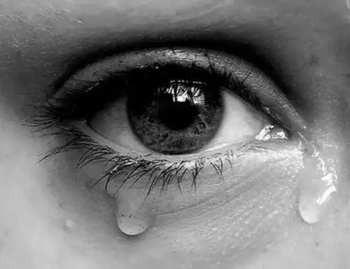 心理测试:第一眼哪只眼睛看起来最伤心?测你今年的桃花运旺不旺