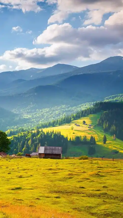 壁纸--且听风吟,静待花开
