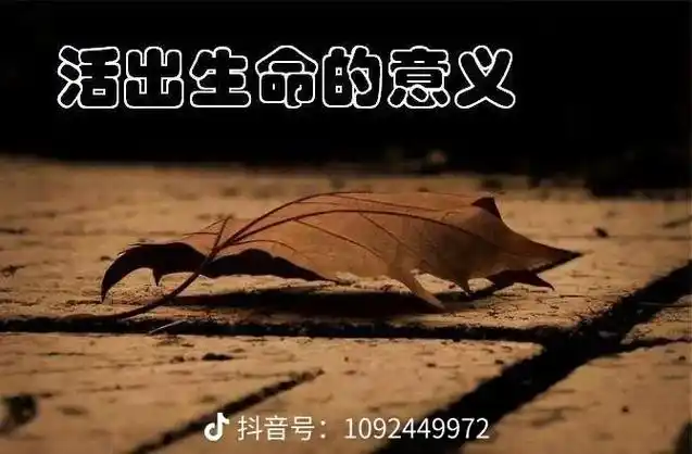 悟人生之道 #唯美意境 #开悟人生 #生命感悟  - 抖音