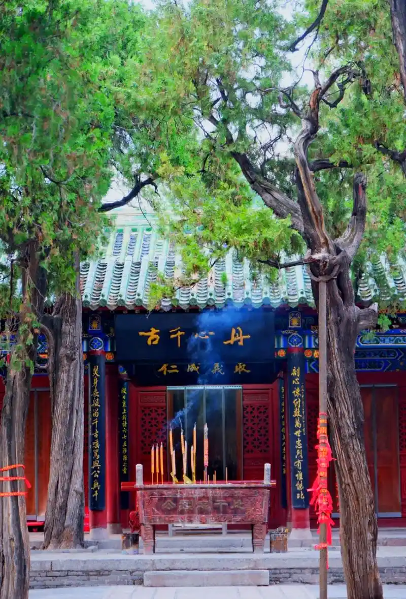 97卫辉比干庙:林姓游客的免费历史之旅95 99探索河南卫辉的比干