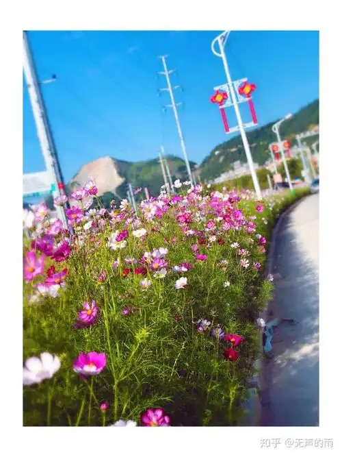 你的手机里有哪些自己拍的真实的风景照?