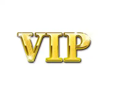 金色vip会员字体