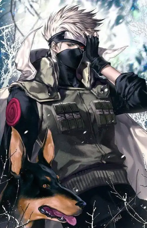 这么帅气的卡卡西,要不要