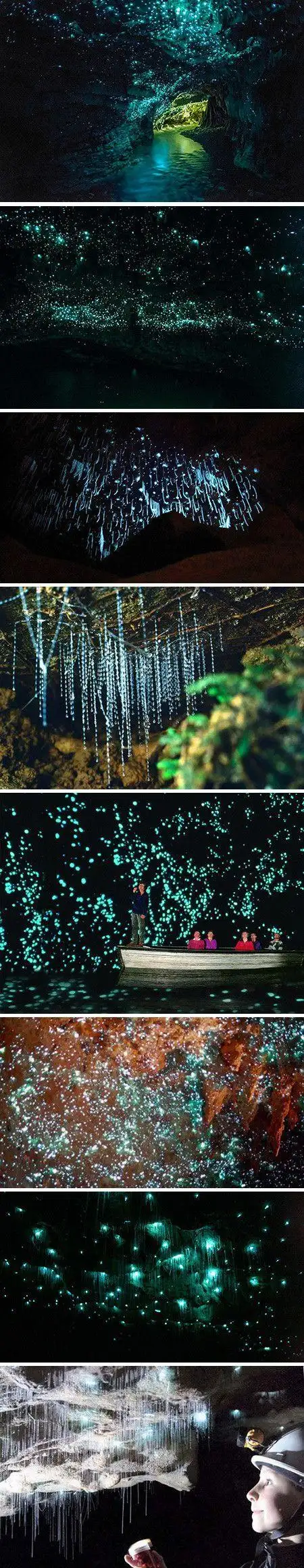 the waitomo glowworm caves , new zealand