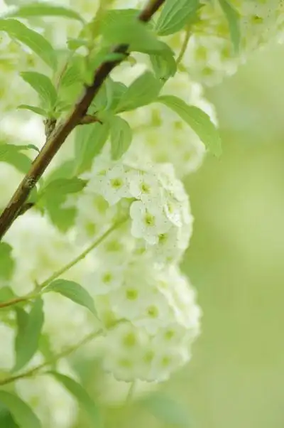 残缺的记忆唯美意境图片