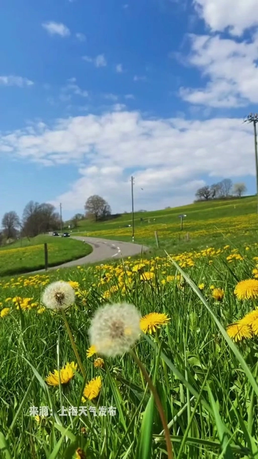 上海 今天是近期最温暖的一天,不过后面又要下雨了#天气