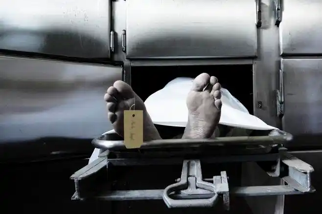 在太平间的尸体 不想想在停尸房的外面