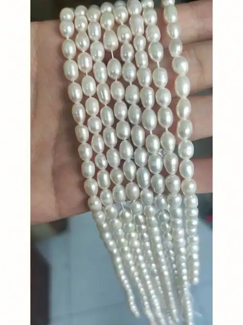 回血珍珠5左右的微瑕米珠品质形态如图,15一条,总共8条3条以下不包邮3