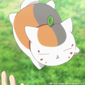 300_300gif 动态图 动图