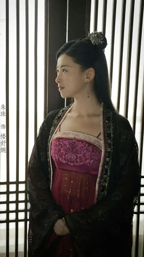 赘婿楼舒婉朱珠