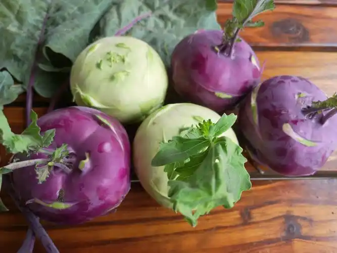 苤蓝 ,含有相当丰富的微生素和微量元素,有增强免疫力,防癌的作用