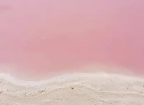 全世界最美的12个粉色拍照圣地满足你所有的少女心