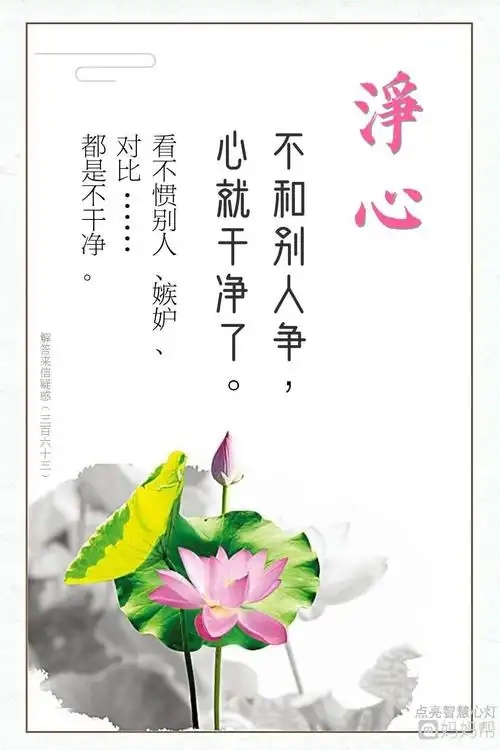 修心金句(修心经典语录) - 精美文字摘录