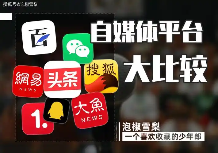 8个自媒体平台大比较新手测试了半年最终在4个平台获得收益