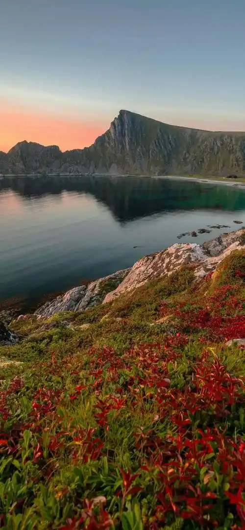 壁纸 风景 摄影 桌面 1080_2340 竖版 竖屏 手机