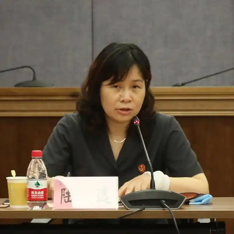 这个夏天法律助理们在虹法扬帆起航