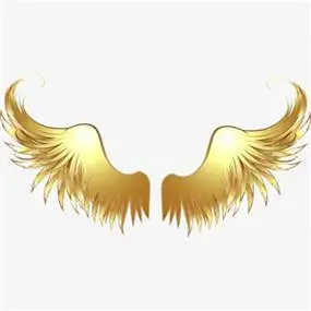 天使翅膀图片头像大全好看的天使翅膀图片唯美头像