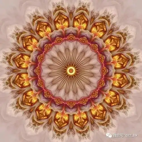 【全息能量】财富曼陀罗 拿回属于你自己的宝藏