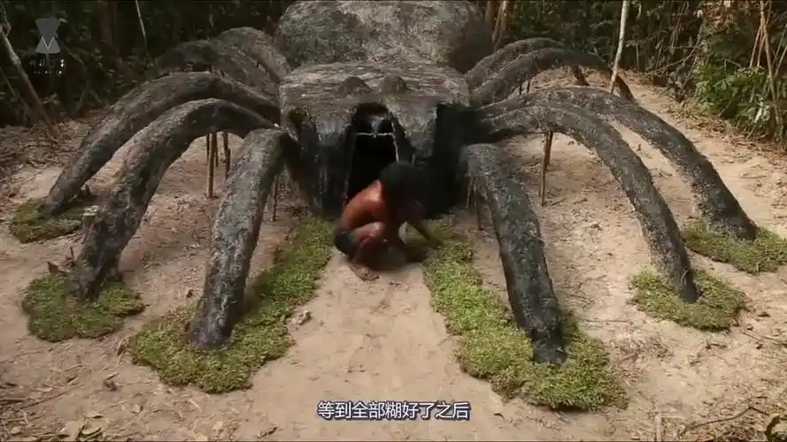 小伙脑洞大开搭建一座巨型蜘蛛房你敢住进去吗