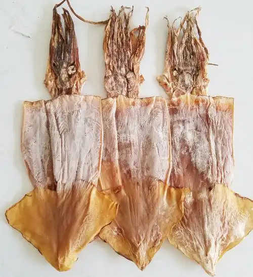 干货 乌贼干 咸鱼干 墨鱼干 大鱿鱼干 鱿鱼干 无头鱿鱼干 500克.