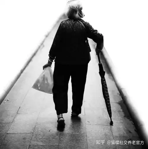 写给母亲 (感人至深 )