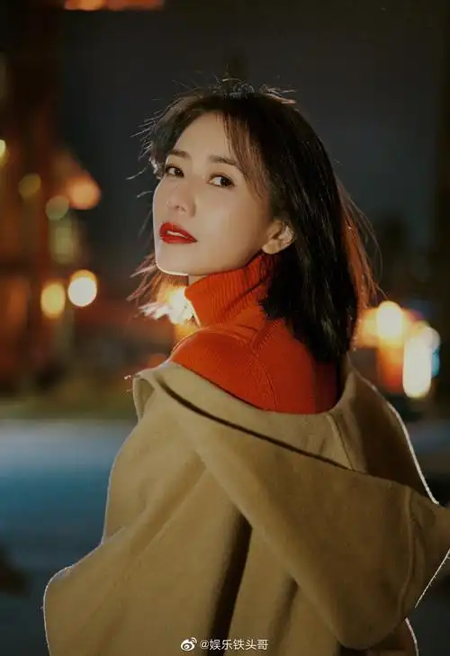 林玉芬导演,张鲁一高圆圆主演的《完美伴侣》,预计2月下旬开机