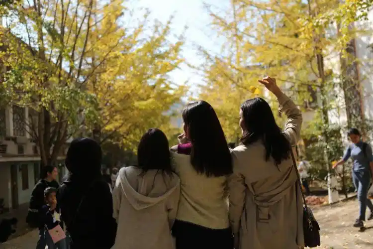 待至秋深,银杏完全黄透漫天黄叶,满地金黄仿佛走进金黄的"时光隧道"