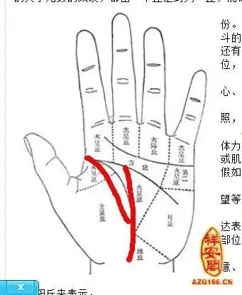 【女子生命线分叉图解】生命线中途分叉图解,生命线末端分叉图解