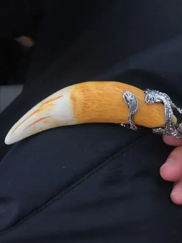 如何鉴别真假虎牙?