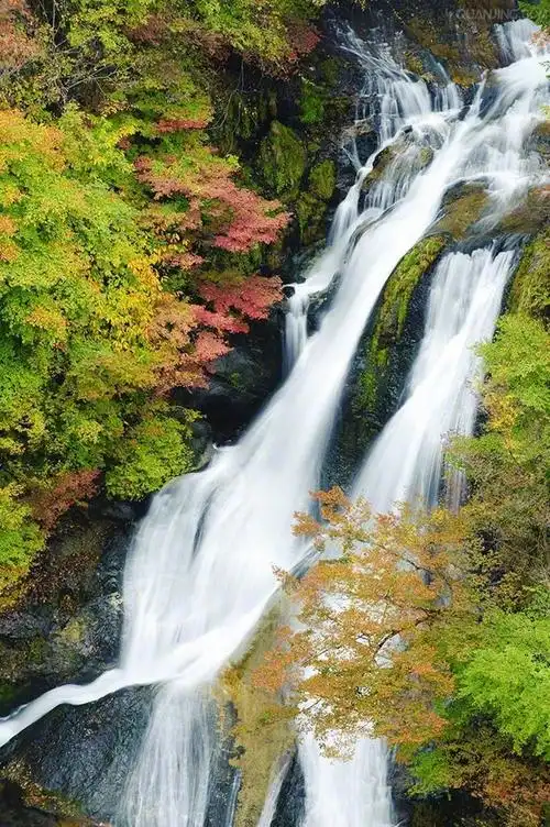 壁纸 风景 旅游 瀑布 山水 桌面 658_989 竖版 竖屏 手机