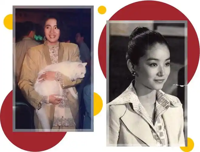 江疏影和赵薇在得知这个江湖失传的搭配秘方后也决定来亲测一番通过