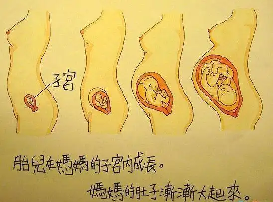 香港幼儿园怎样对孩子进行性教育