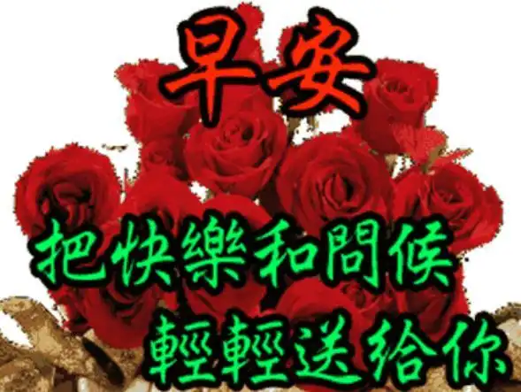 早上好情人暧昧问候玫瑰图片