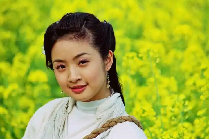 天外飞仙林依晨 饰 小七