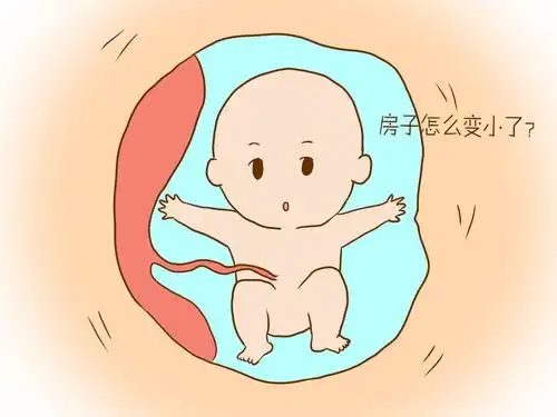 孕期同房时,准妈妈肚子里的胎儿会有这些感觉,还挺有趣的