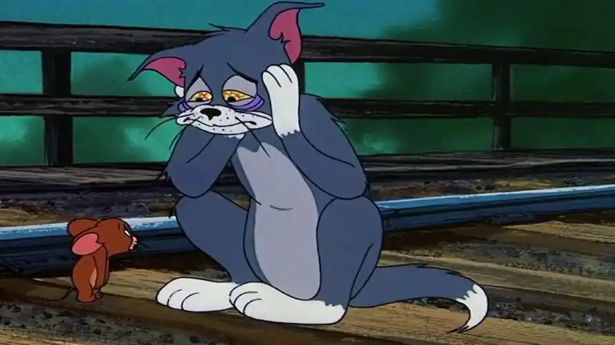 汤姆和杰瑞双双失恋,你还相信爱情吗?